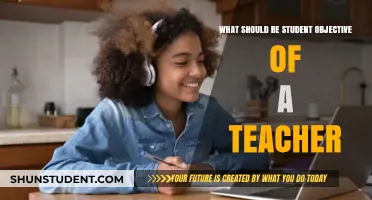 Empowering Students: A Teacher's Core Objectives for Learning Success