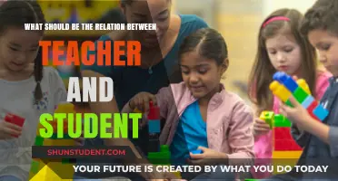 Fostering Mutual Respect: The Ideal Teacher-Student Relationship Dynamics