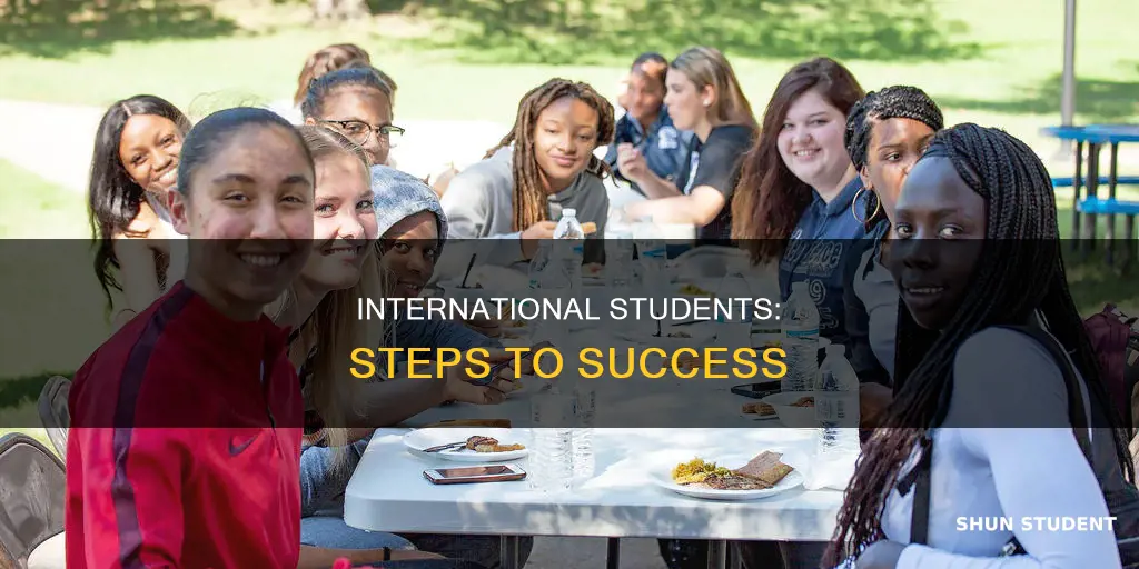 what should i do international students