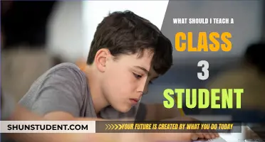 Engaging Class 3 Curriculum: Essential Skills and Subjects to Teach