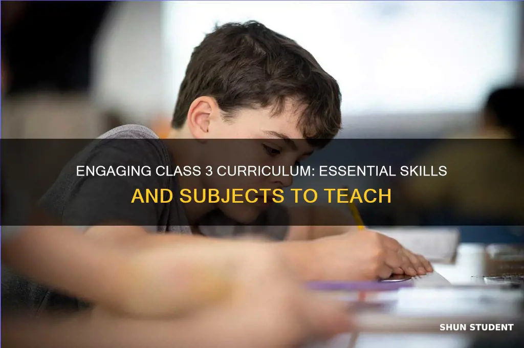 what should i teach a class 3 student