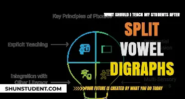 Beyond Split Vowel Digraphs: Next Steps in Phonics Instruction for Students