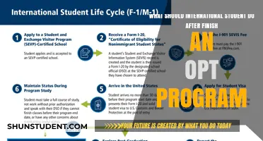 International Students: Life After OPT