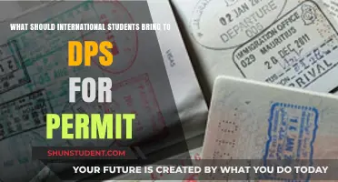 Essential Documents: International Students' Guide to Driving in the US