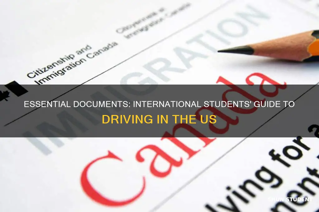 what should international students bring to dps for permit