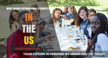 International Students: Exploring the US Experience