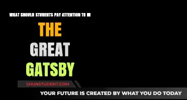 Unraveling The Great Gatsby: A Student's Guide