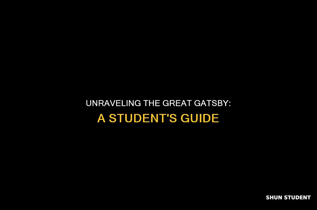 what should students pay attention to in the great gatsby