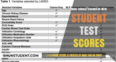 Maximizing Student Growth: Effective Strategies for Teachers to Utilize Test Scores