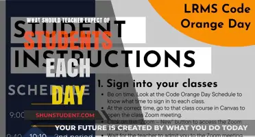 Daily Expectations: What Teachers Should Anticipate from Students in Class