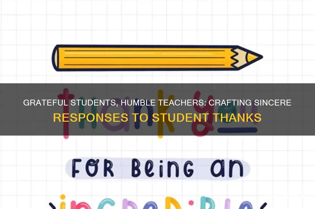 what should teacher reply if students thank him