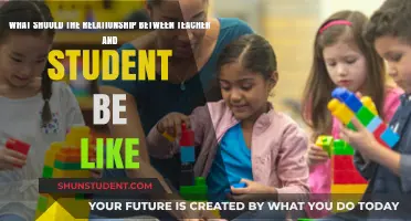 Fostering Mutual Respect: The Ideal Teacher-Student Relationship Dynamics