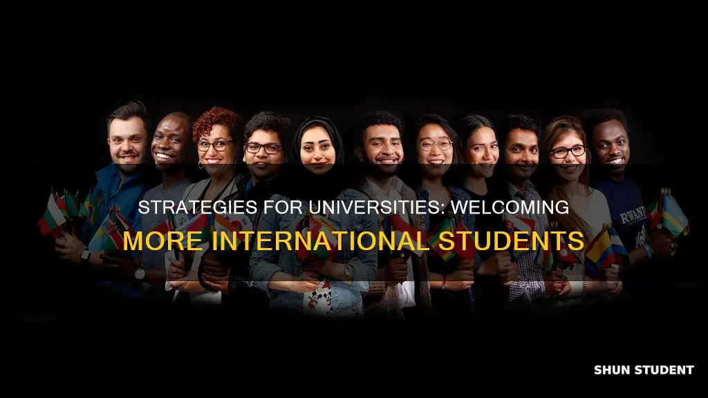 what should universities do to prepare for more international students