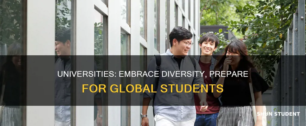 what should universities do to prepare for more international students