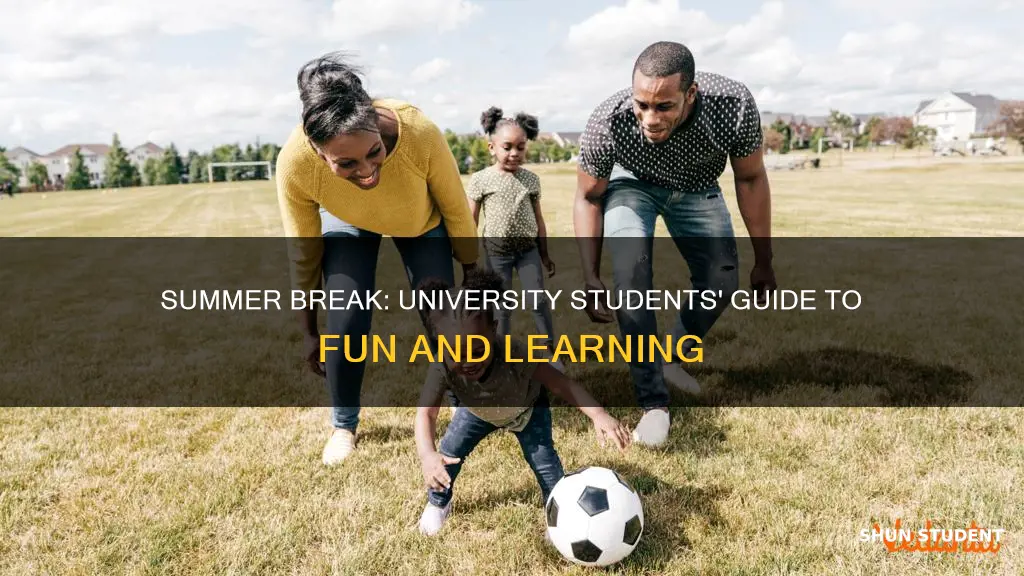 what should university students do in the summer