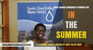 Summer Strategies for University Students