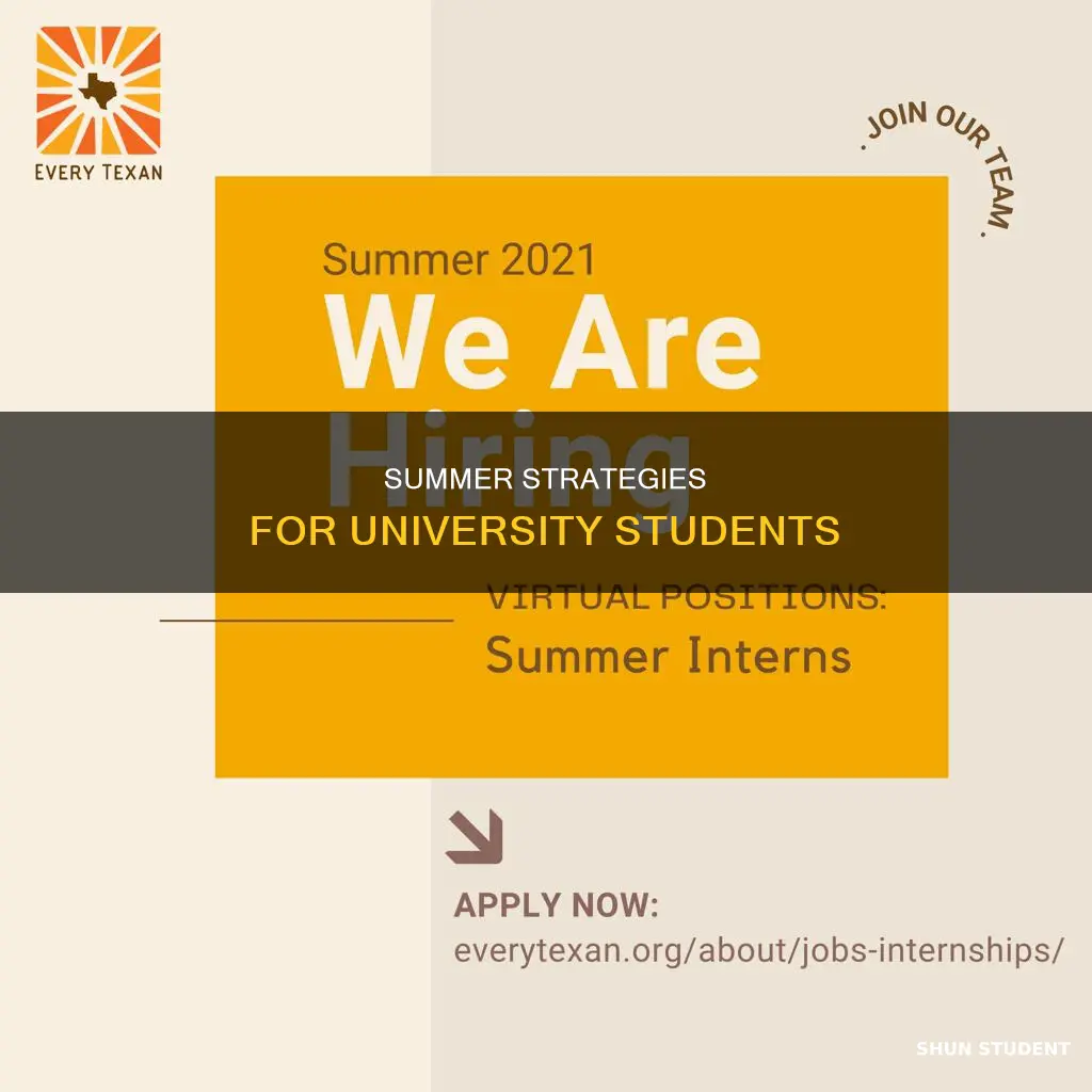 what should university students do in the summer