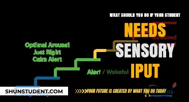 Sensory Strategies: Supporting Students Who Need Sensory Input
