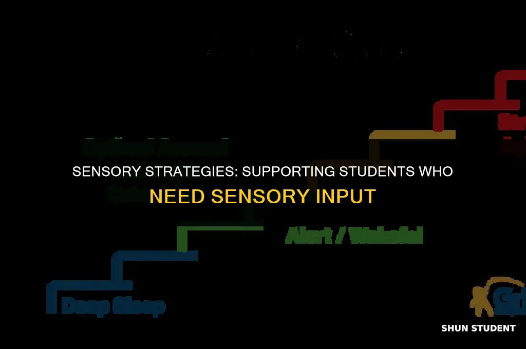 what should you do if your student needs sensory iput