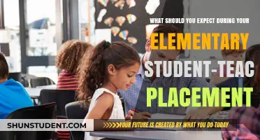 Navigating Your Elementary Student-Teacher Placement: Expectations and Insights