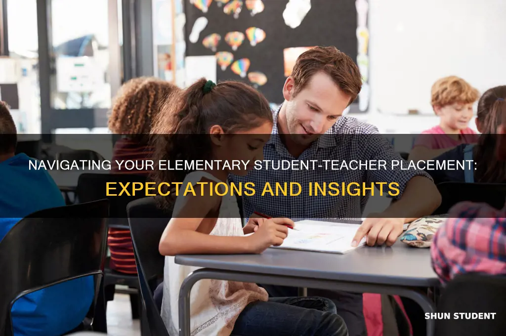 what should you expect during your elementary student-teacher placement