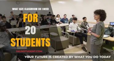 Optimal Learning Space: Classroom Size for 20 Students