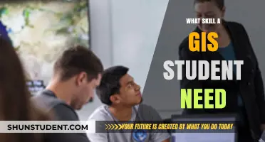 Essential Skills Every GIS Student Needs to Succeed