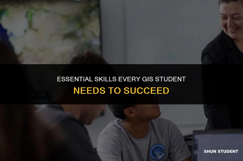 what skill a gis student need