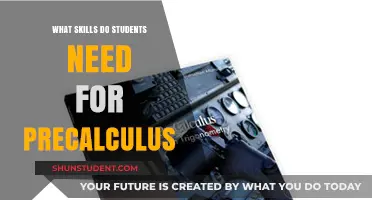 Essential Skills for Precalculus: A Student's Guide to Success