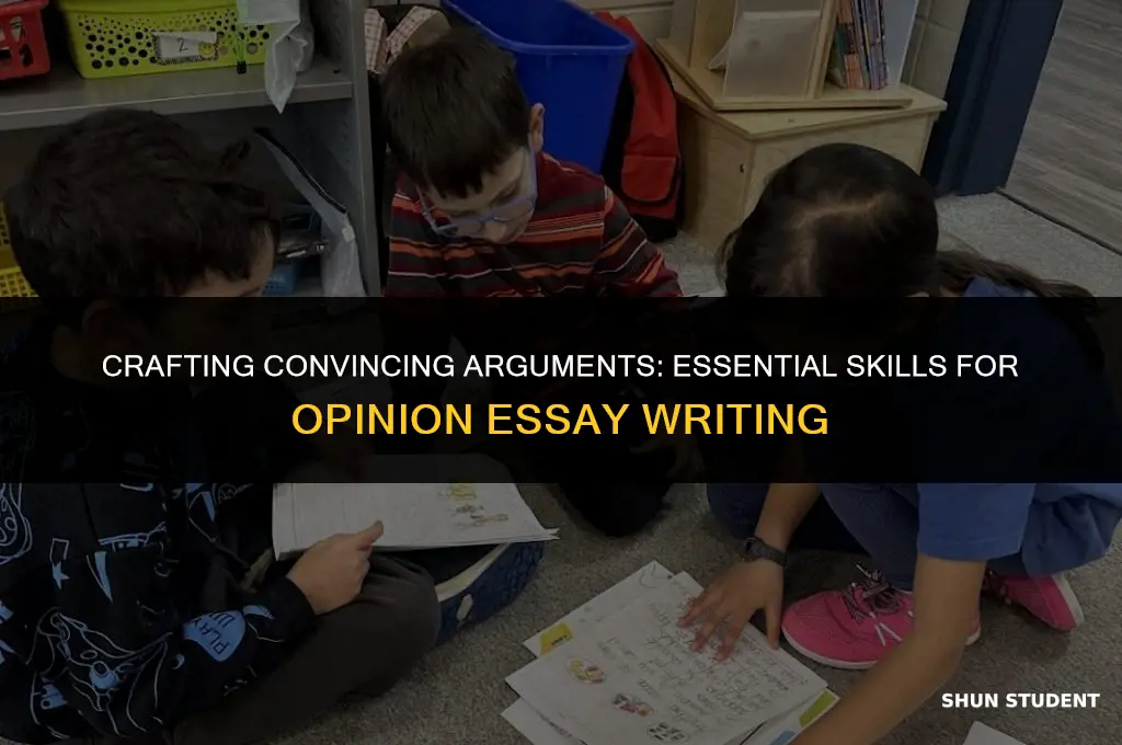 what skills do students need to write an opinion essay