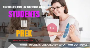 Essential Pre-K Skills for Low-Functioning Autism Students to Thrive