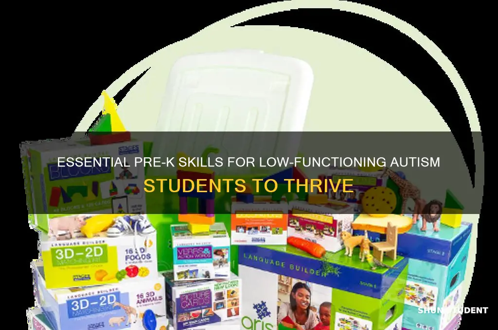 what skills to teach low functioning autism students in prek