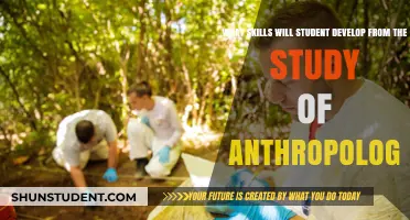 Exploring Anthropology: Key Skills Students Gain Through Cultural Study