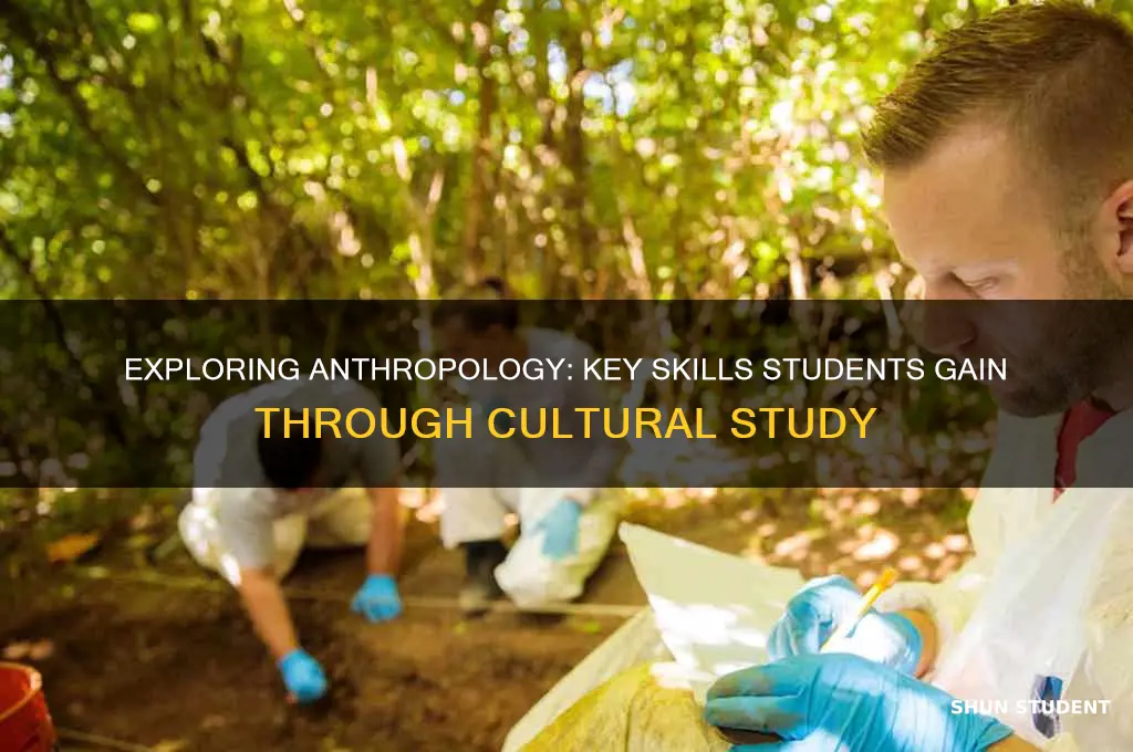what skills will student develop from the study of anthropology