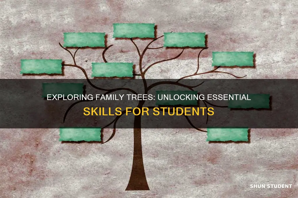 what skills will students learn from a family tree