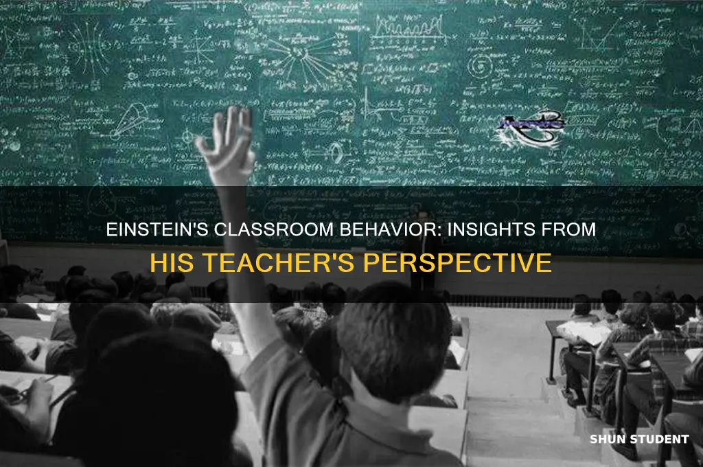 what sort of student einstein was according to his teacher