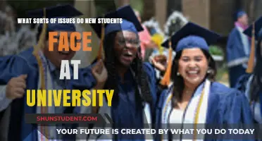 University Challenges: Common Issues for Freshers
