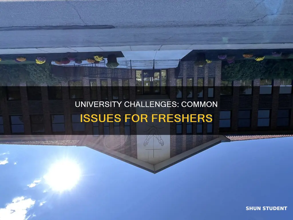 what sorts of issues do new students face at university