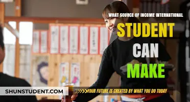 Lucrative Income Sources for International Students