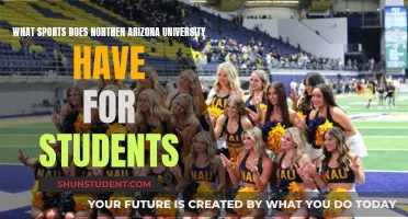 NAU's Athletic Offerings: A Guide to Sports for Students