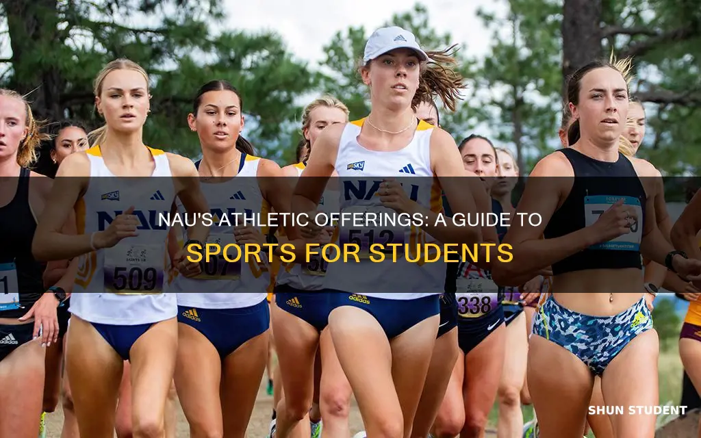 what sports does northen arizona university have for students