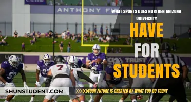 NAU's Competitive Sports Scene: What to Expect