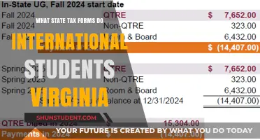 Virginia State Tax: International Student Guide