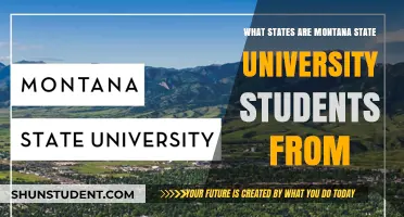 Montana State University: Where Do Students Call Home?