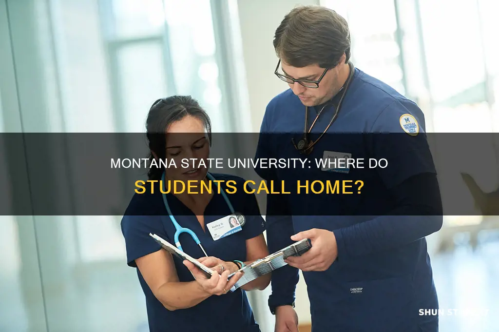 what states are montana state university students from