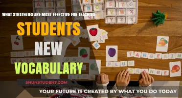 Effective Vocabulary Teaching Strategies: Engaging Methods for Student Success