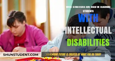 Effective Teaching Strategies for Students with Intellectual Disabilities