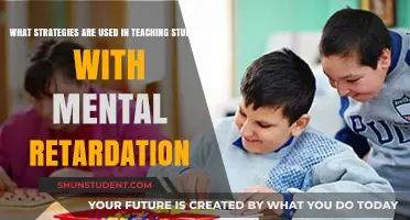 Effective Teaching Strategies for Students with Intellectual Disabilities