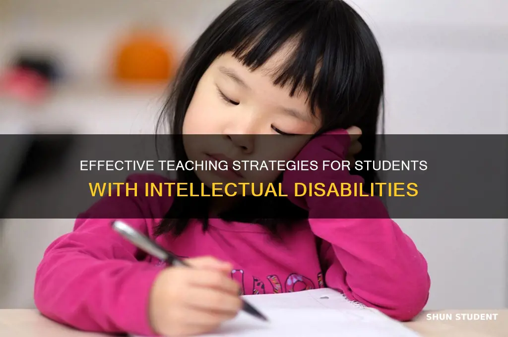 what strategies are used in teaching students with mental retardation