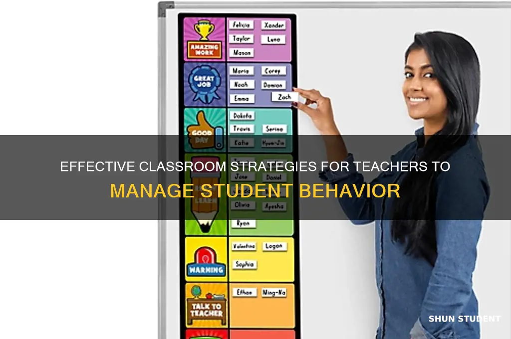 what strategies teacher can use to manage students behavior